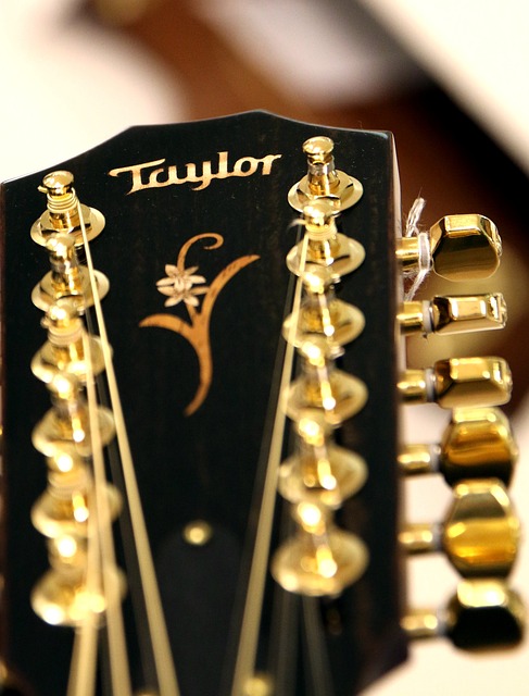 15 Reasons Why You Need a Taylor Guitar