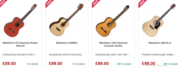 Washburn Guitars