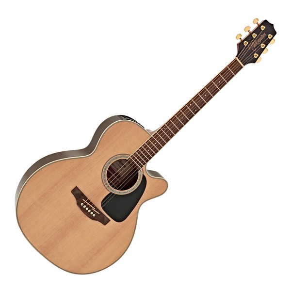 Takamine G Series